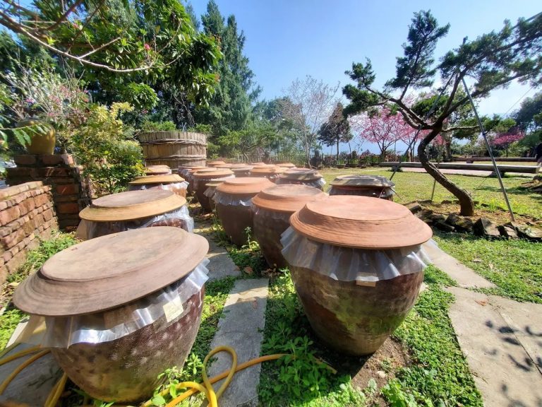優惠|南投鹿谷隱藏版住宿!$1950住進山林秘境,還包早晚餐+陶藝體驗!