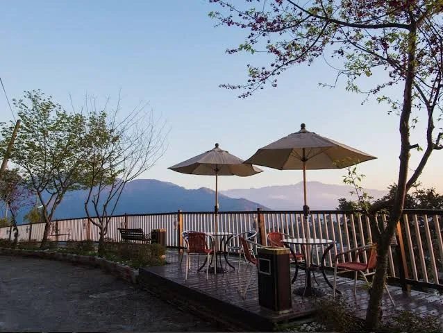 🌲 優惠｜清境森林系小旅行推薦！雙人木屋含早餐只要 $1,888，超值住進茶園與星空的懷抱