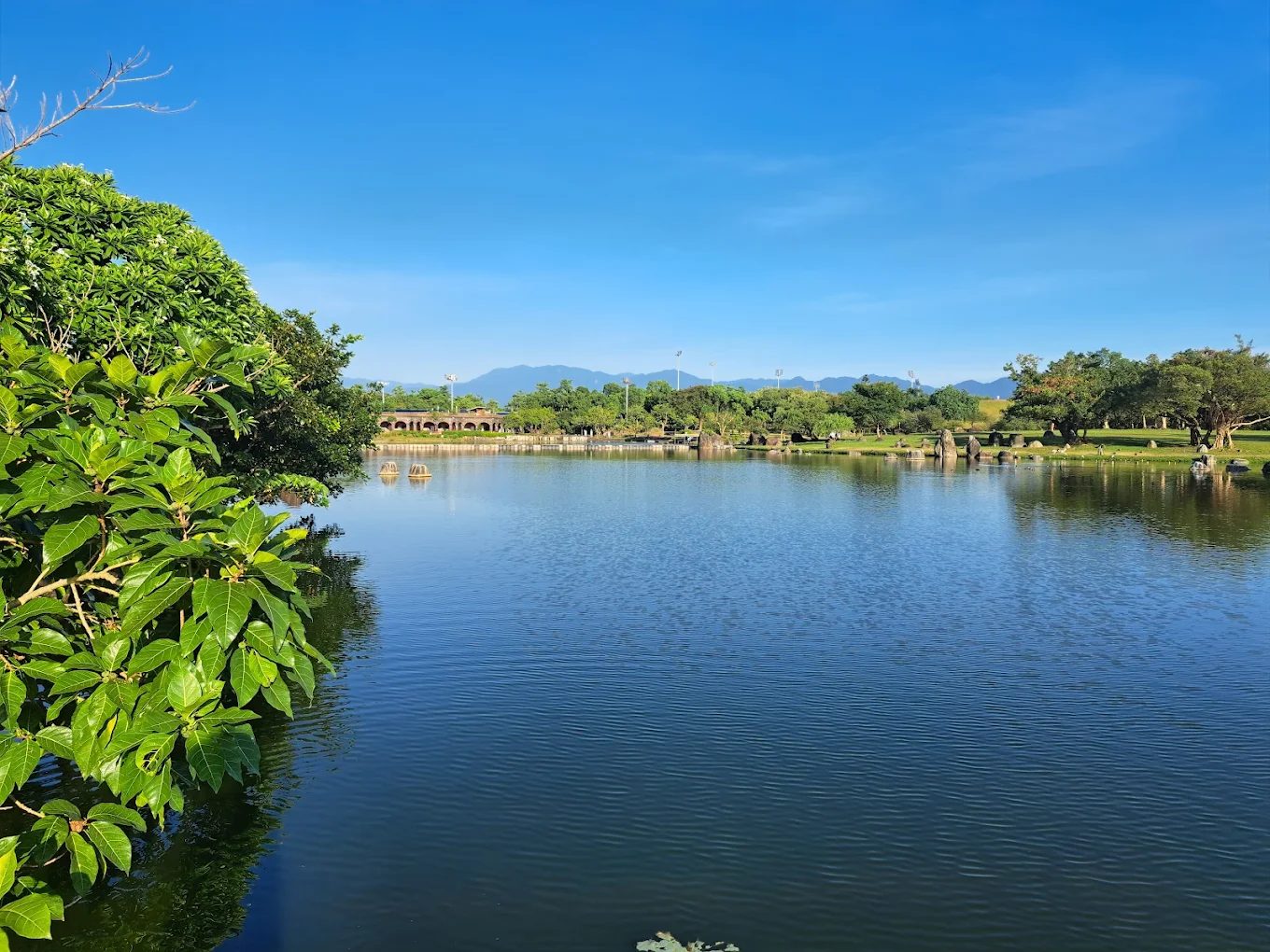 羅東運動公園一日遊｜落羽松、東丘觀景台、在地文化景點全攻略