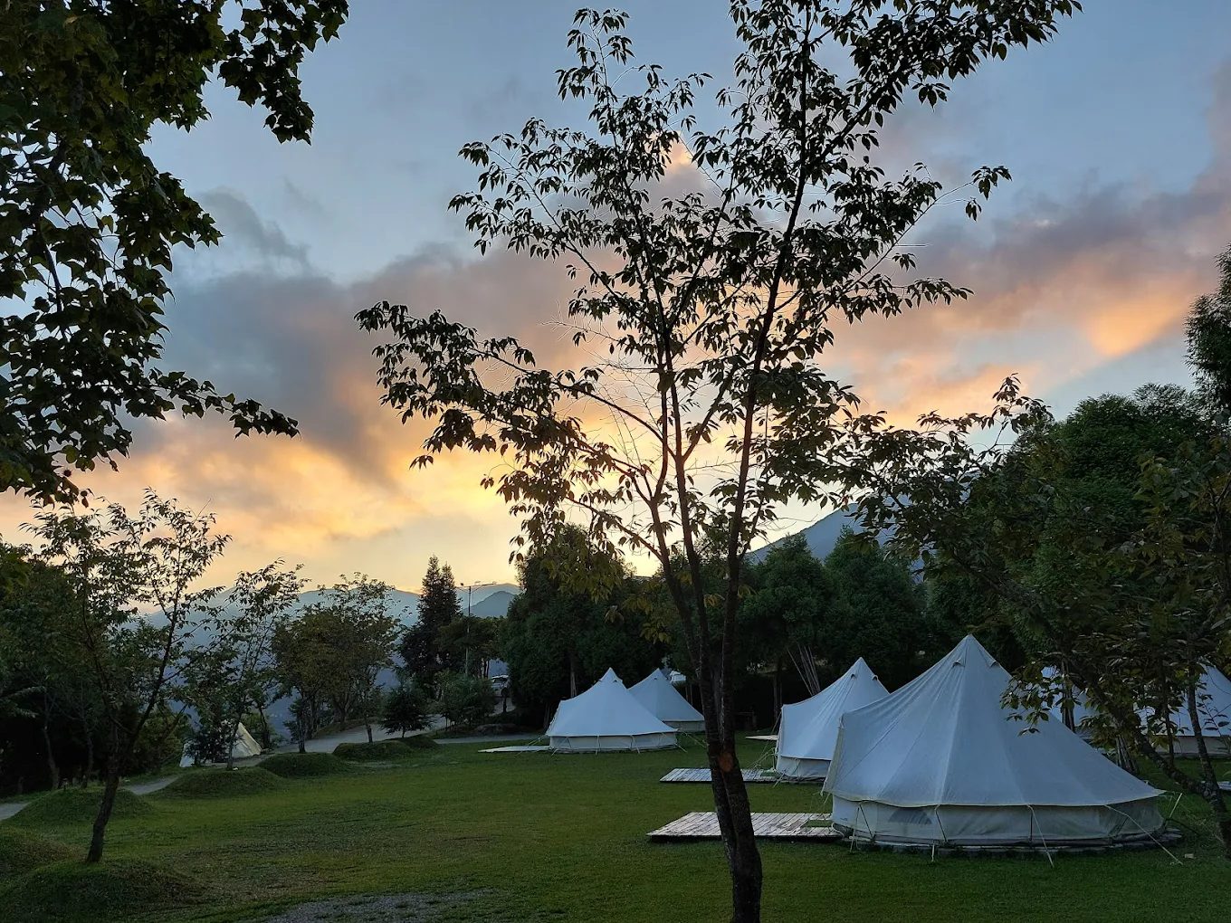 🌿 優惠｜新竹豪華露營推薦｜森林蔬果露營體驗，不用搭帳篷也能親近自然！