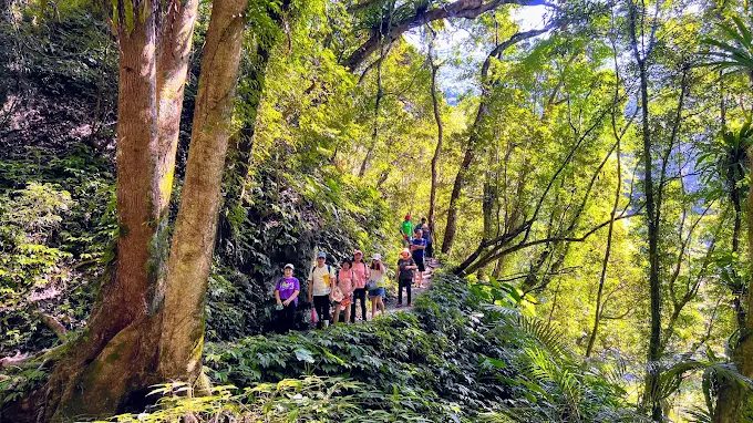 從林蔭走進新北三峽雲森瀑布深處，在清晨水氣與光影之間停下來