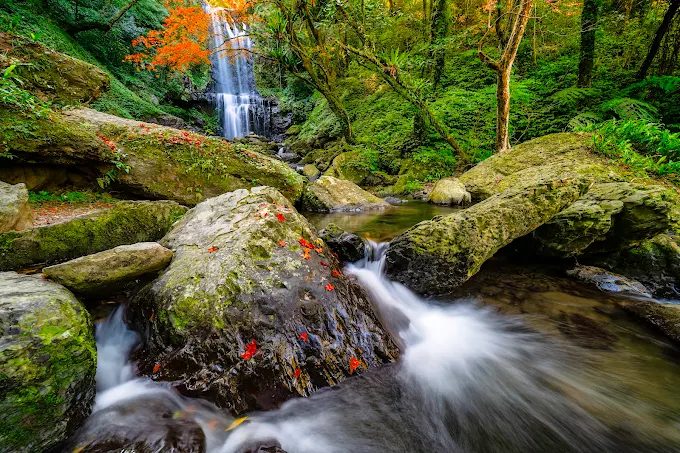 從林蔭走進新北三峽雲森瀑布深處，在清晨水氣與光影之間停下來