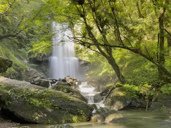 新北三峽秘境!雲森瀑布一日遊攻略|交通、步道、拍照景點全解析
