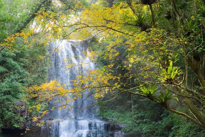新北三峽秘境!雲森瀑布一日遊攻略|交通、步道、拍照景點全解析