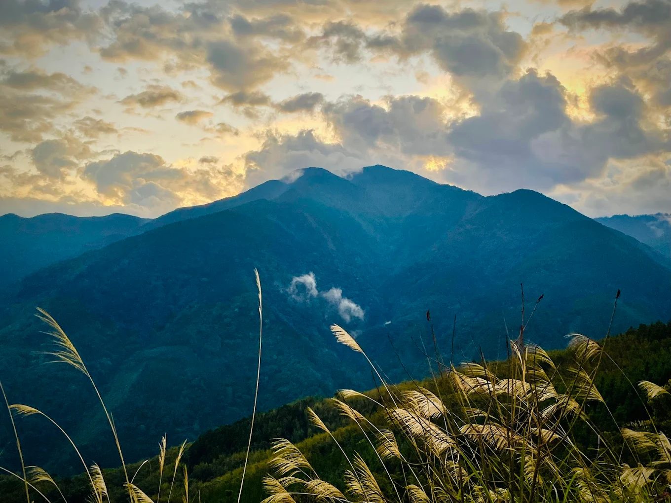 新竹五峰愛上喜翁｜森林蔬果輕奢露營體驗
