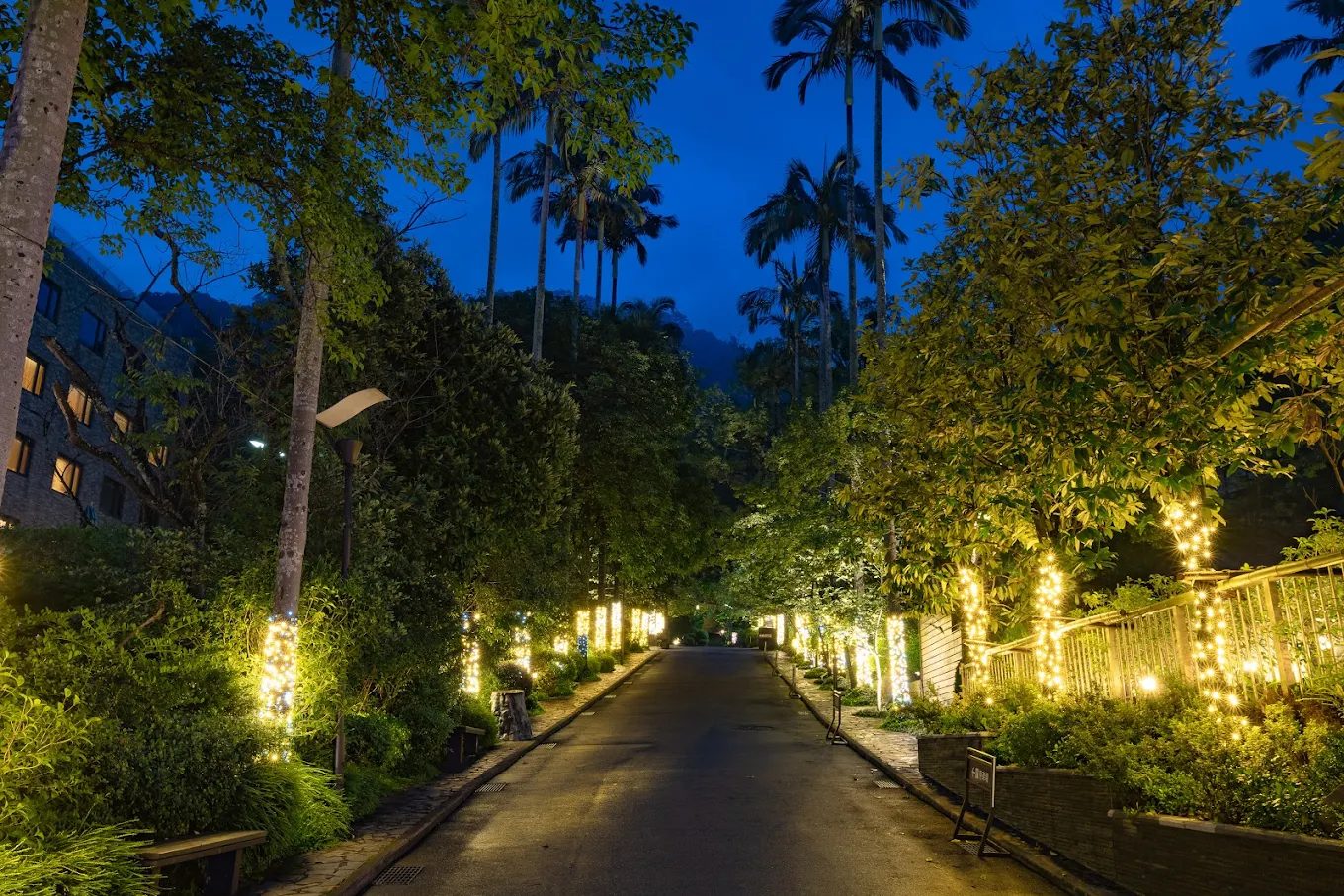 逃離城市 40 分鐘，走進大板根森林的療癒世界 🌿