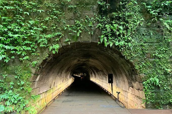 新北瑞芳必訪秘境！三貂嶺隧道蝙蝠生態探險與夢幻倒影美景