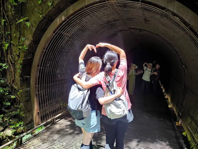 新北瑞芳必訪秘境！三貂嶺隧道蝙蝠生態探險與夢幻倒影美景