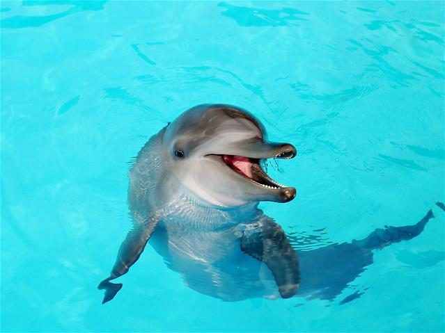 北海岸度假必住！福泰翡翠灣渡假飯店｜海景第一排的親子友善住宿