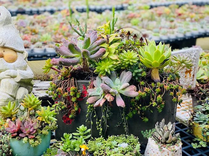 桃園旅遊攻略2025｜精選4大隱藏版景點，一日暢遊最完整路線