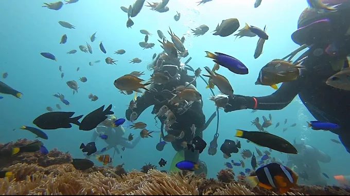 鼻頭角公園一日遊｜東北角小長城步道、燈塔美景與在地海鮮全攻略