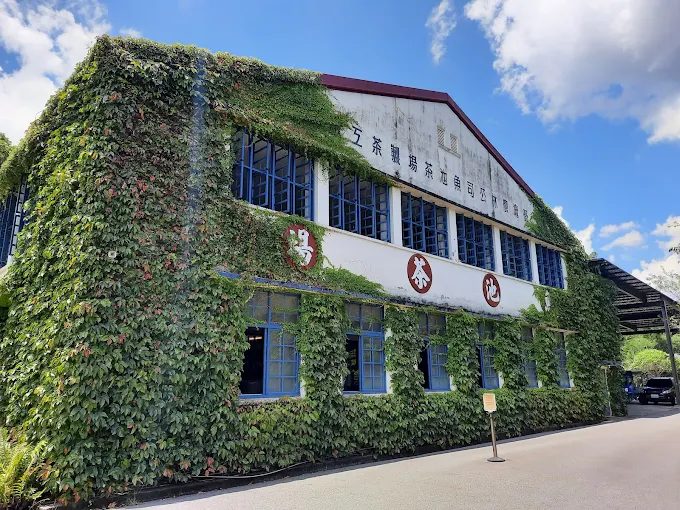 把周末交給南投魚池紅茶與日月潭山景在紅玉紅茶餘韻中慢慢降落