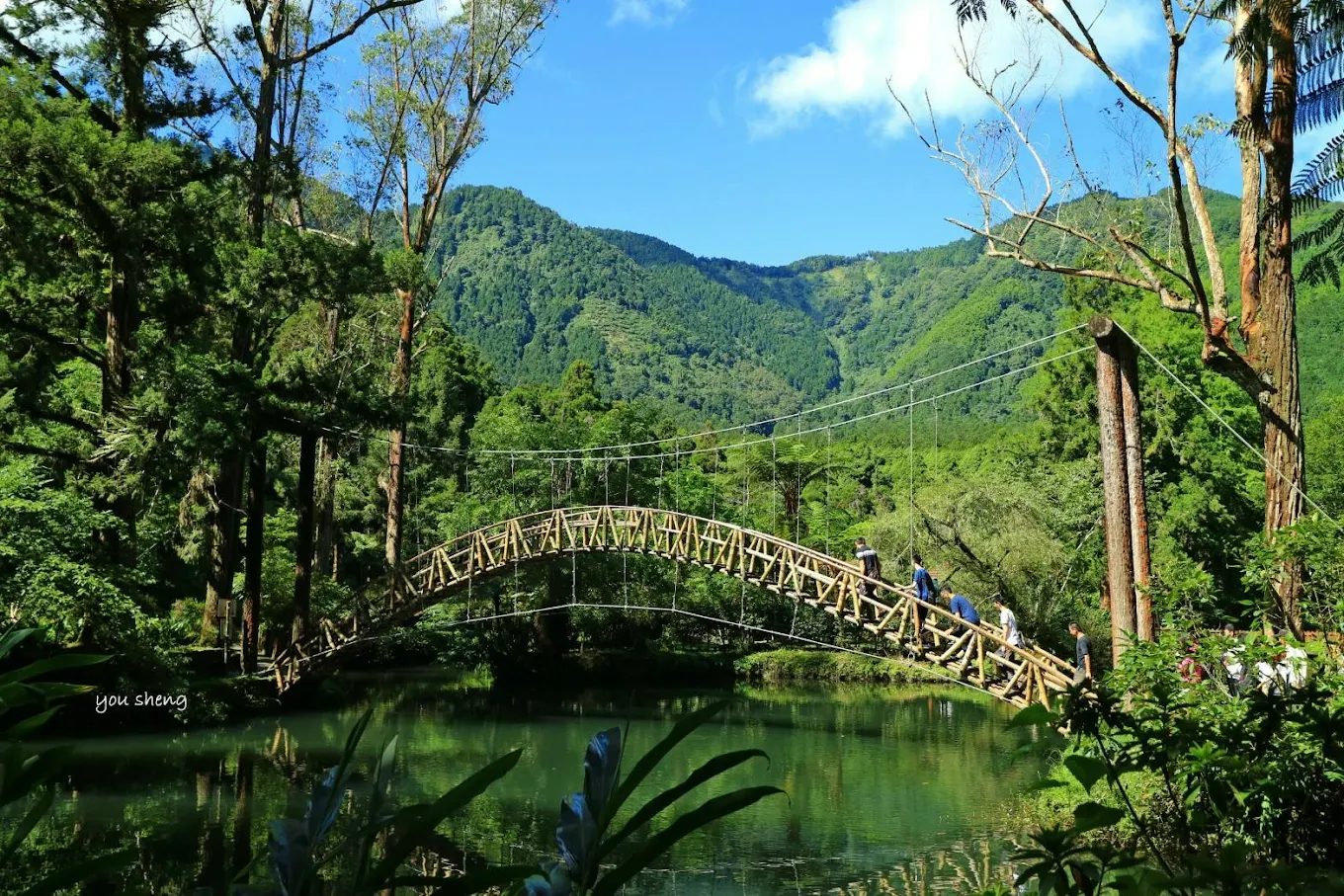 溪頭住宿推薦｜Success Banner 溪頭飯店銀杏樓，一泊二食 3980 元，享受森林系小旅行