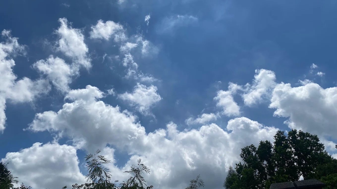 苗栗住宿新亮點!【喵裏汽車旅館】全新登場|雙人房只要 $1680 起