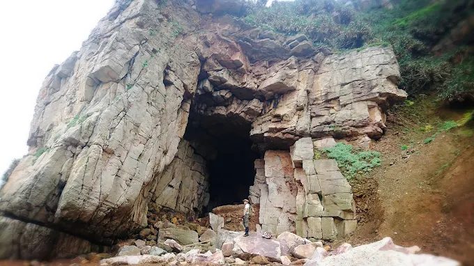 龍洞灣岬步道攻略｜新北必訪海岸秘境，親子健行看海蝕洞全指南