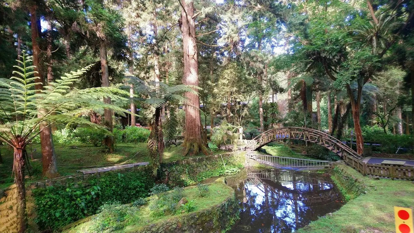 南投溪頭住宿推薦｜入住 Success Banner 溪頭飯店銀杏樓，體驗一泊二食森林假期