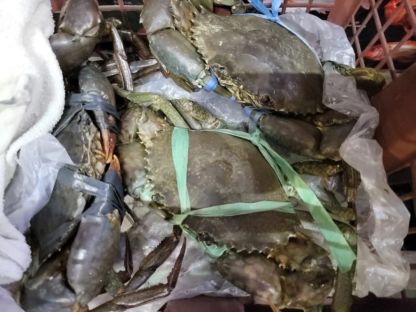 基隆必吃美食攻略｜海鮮、熱炒、拉麵通通有！在地人帶路的美味清單