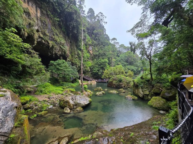 杉林溪:最佳森林遊樂園全攻略,讓你的假期更輕鬆
