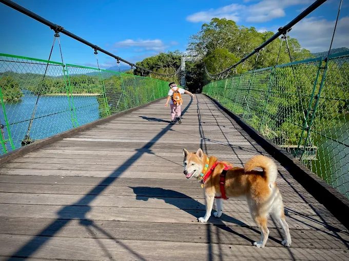 苗栗必去親子景點TOP5｜奇幻哈比丘、湖中日新島、百年隧道超好拍