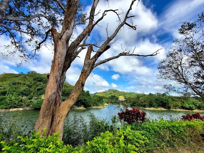 苗栗必去親子景點TOP5｜奇幻哈比丘、湖中日新島、百年隧道超好拍