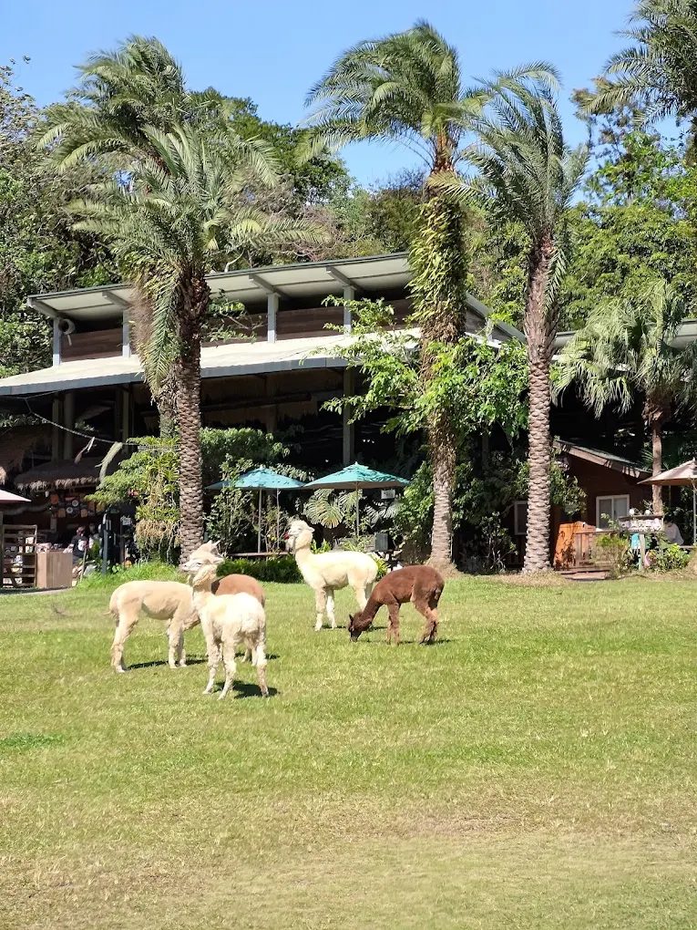 新竹親子景點推薦：2025最新攻略，帶孩子一起玩出美好回憶！