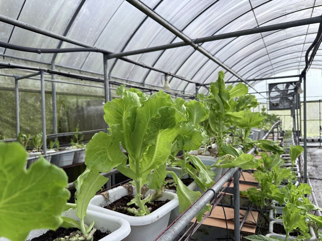 營區環境與自然美景