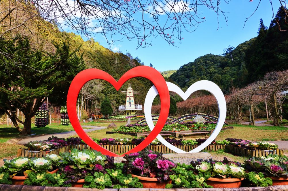 溪頭 vs 杉林溪！神木竹林對決花卉瀑布，今天你想走哪一條？