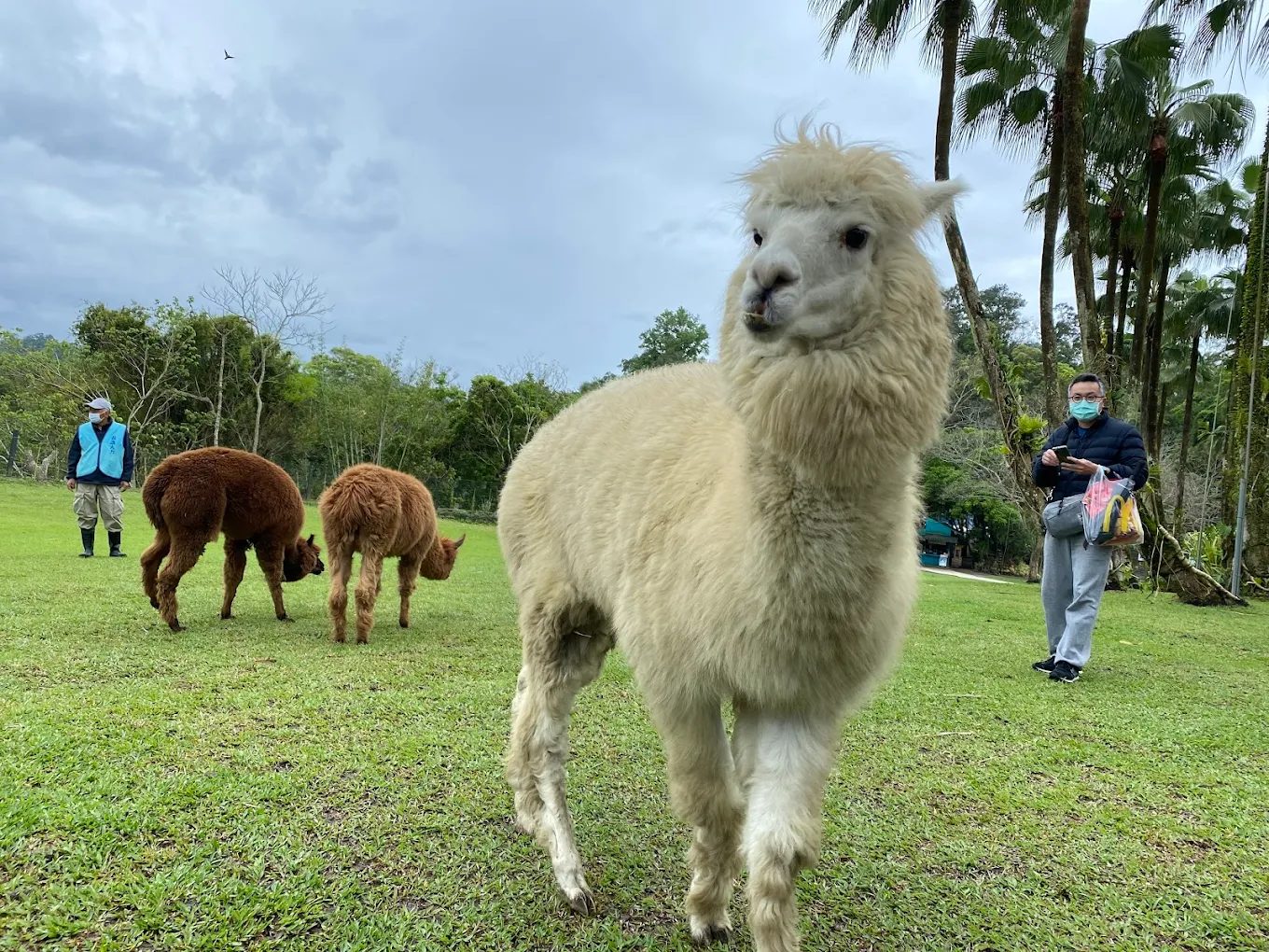 新竹親子景點推薦：2025最新攻略，帶孩子一起玩出美好回憶！
