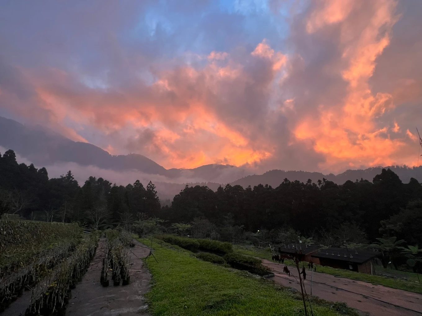 🌲 優惠｜溪頭兩天一夜療癒之旅｜入住銀杏樓山景房，一泊二食雙人只要 $3980