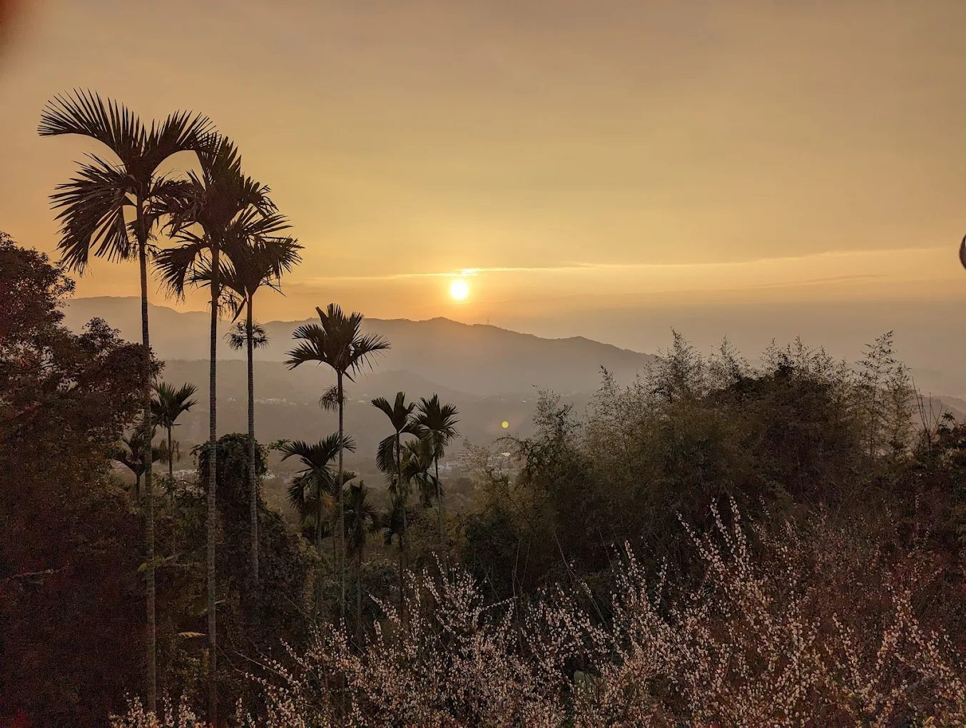🌄 優惠｜南投鹿谷鹿鼎莊｜雙人一泊二食只要 $1950，還能體驗陶藝＋看雲海星空！