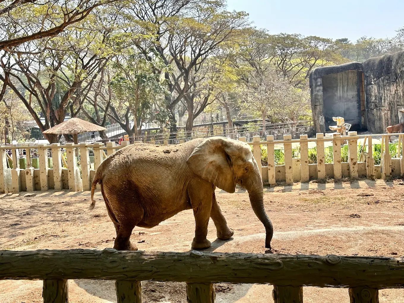 壽山動物園的全方位探索指南:享受台灣動物之美