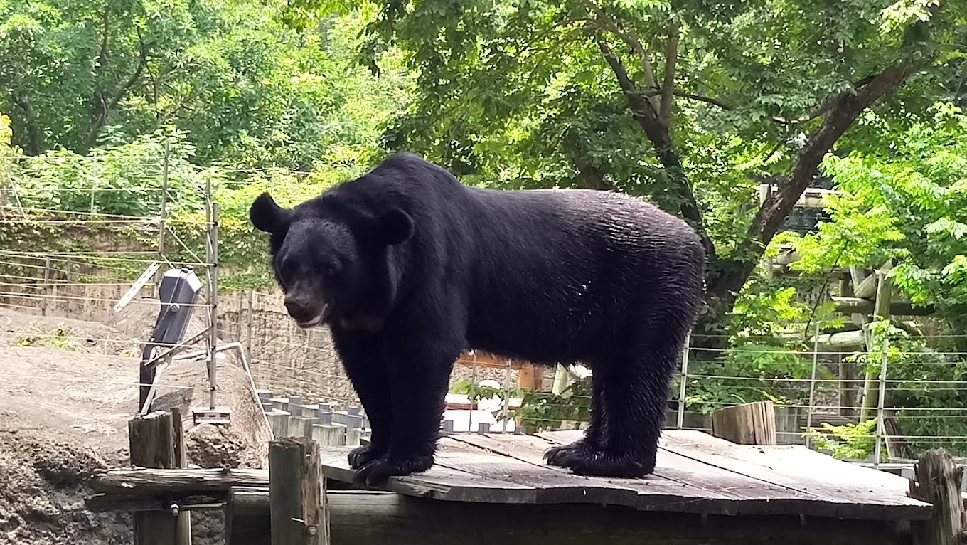 【高雄壽山動物園全攻略】必看動物亮點、餐飲推薦、周邊景點&最佳遊玩季節一次整理!