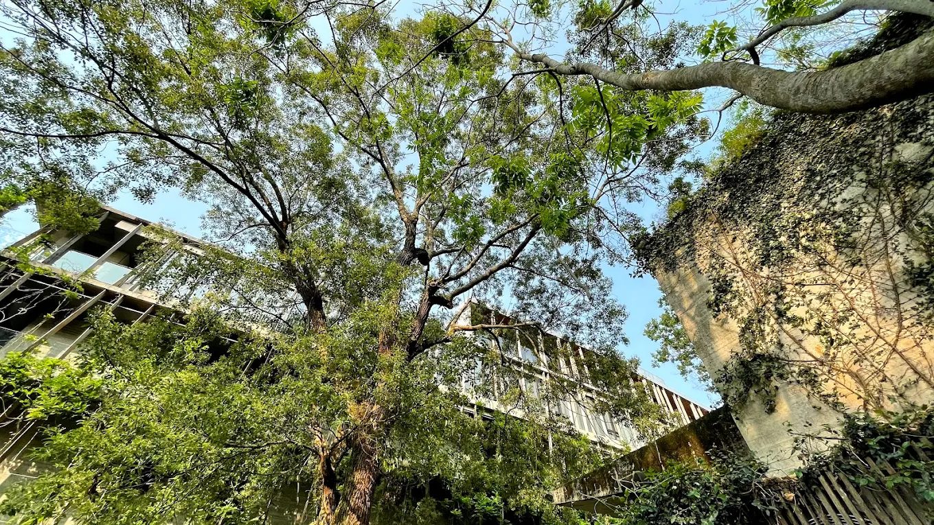 泰安觀止入住指南|私湯、露天風呂與自然設計體驗