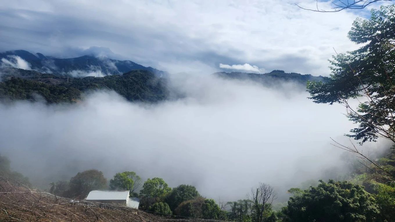 台中包棟民宿：探索星森林山區景觀的最佳選擇