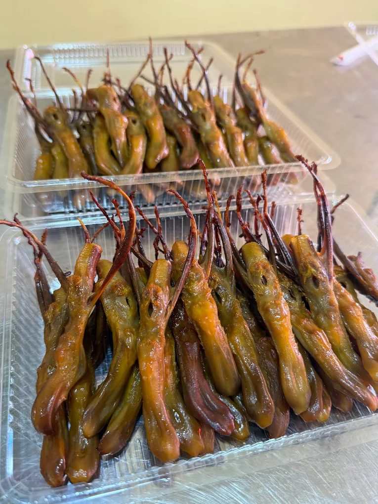 🌙 台南花園夜市｜必吃美食 × 熱鬧遊戲 × 交通全攻略