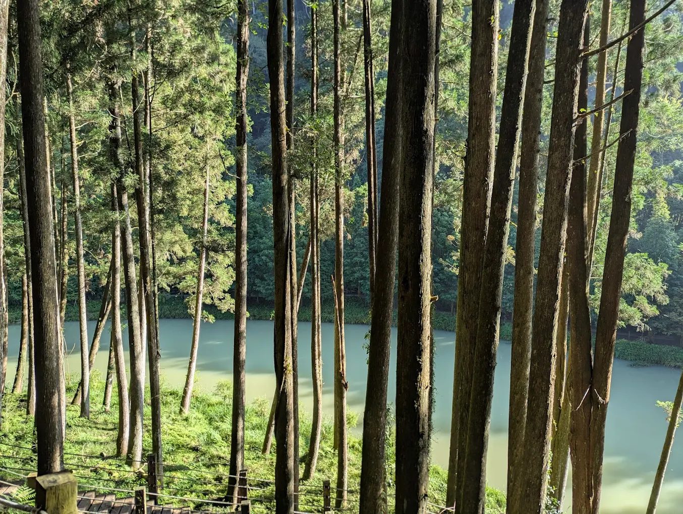 杉林溪：探索最美自然景點的必備指南
