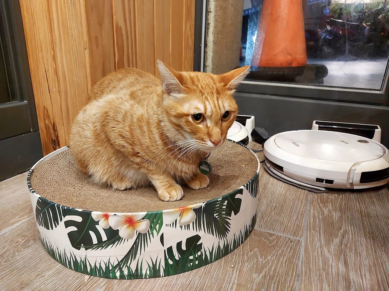 礁溪寵物友善飯店｜$1,499爽住湯屋雙人房＋一泊三食，毛孩也能一起泡湯！