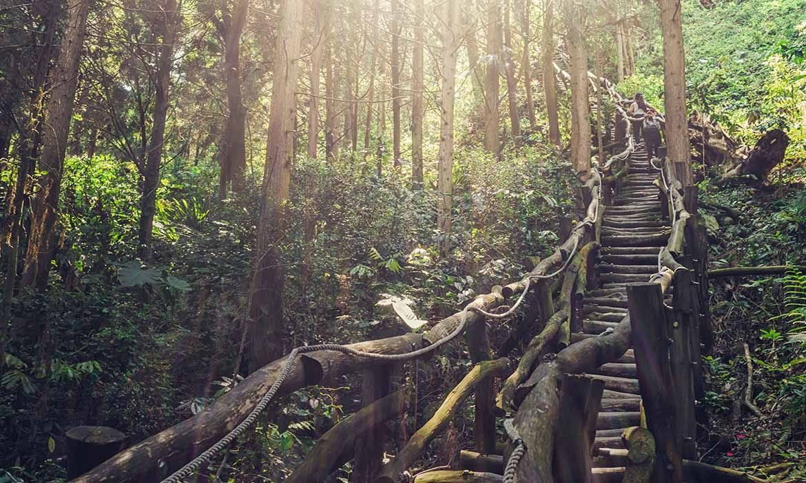 2025台中旅遊攻略｜隱藏版打卡景點草悟道、柳川步道、青榕公