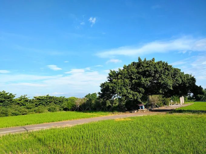 2025台中旅遊攻略｜隱藏版打卡景點草悟道、柳川步道、青榕公