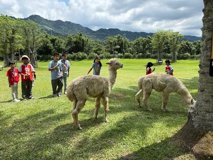 愛上喜翁民宿｜坐擁雲海星空的豪華露營秘境，五峰必住首選！