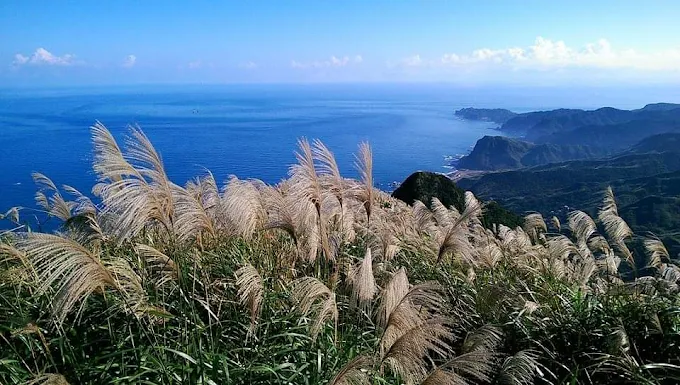 北台灣輕旅行推薦｜5 大景點帶你山海輕鬆遊，週末釋壓好去處