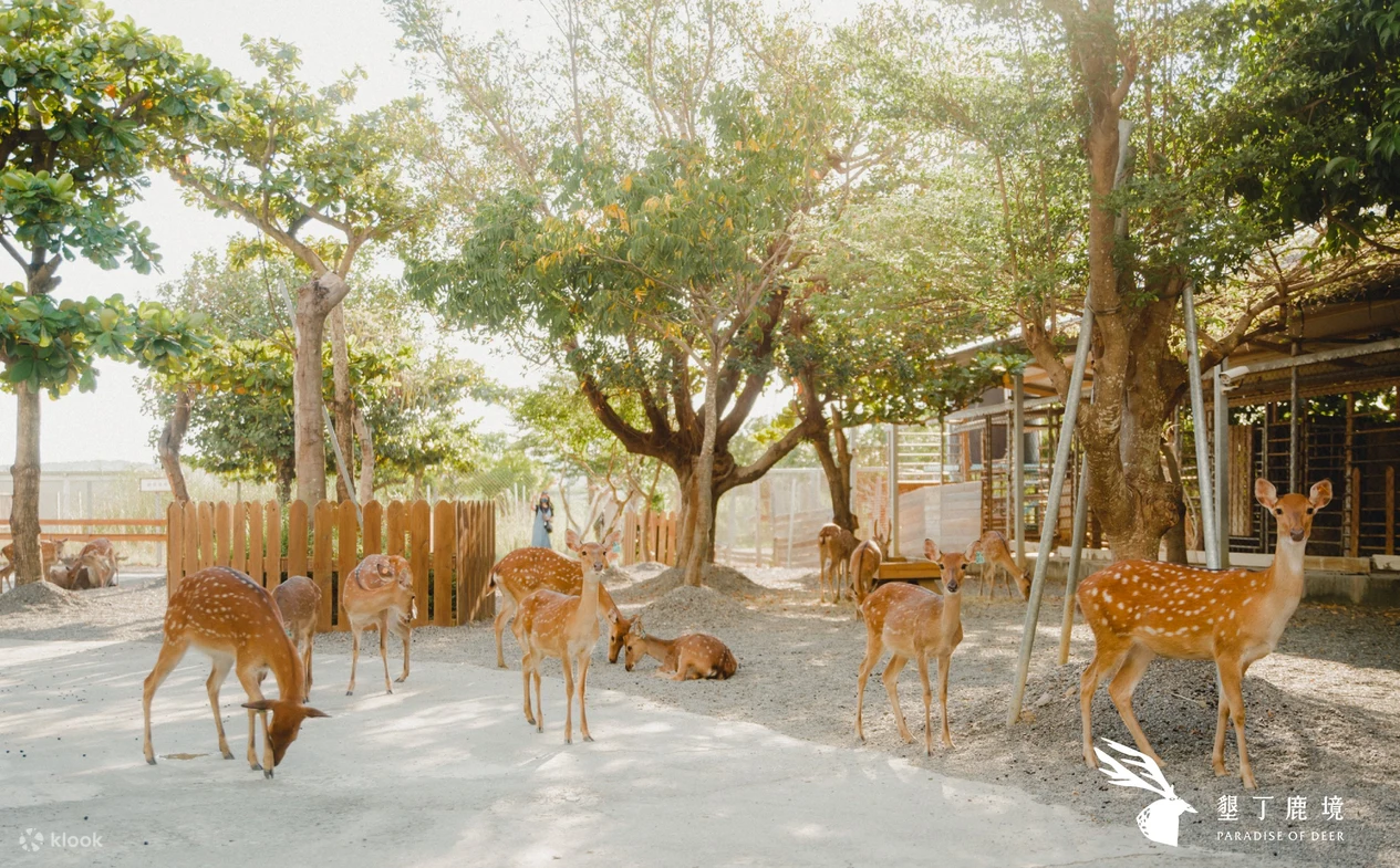 屏東親子景點推薦｜最適合家庭出遊的5大寶藏景點