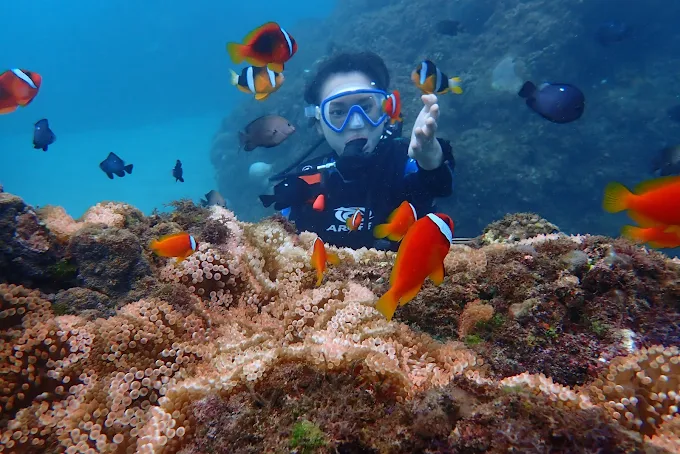 探索墾丁國家公園的魅力｜必訪景點、活動玩法與美食攻略