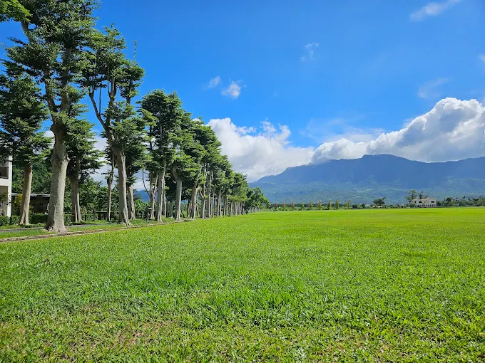 探索鹿野高台的魅力：最佳觀景勝地與活動推薦