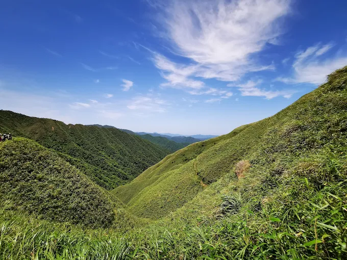 宜蘭抹茶山三角崙山草坡與藍天景觀,箭竹覆蓋的山谷曲線壯麗