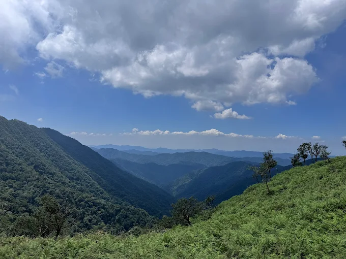 苗栗抹茶山遠眺群山，藍天白雲下的壯闊景色