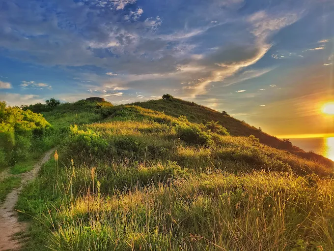 夕陽下的苗栗抹茶山步道，草坡被金色光影照亮
