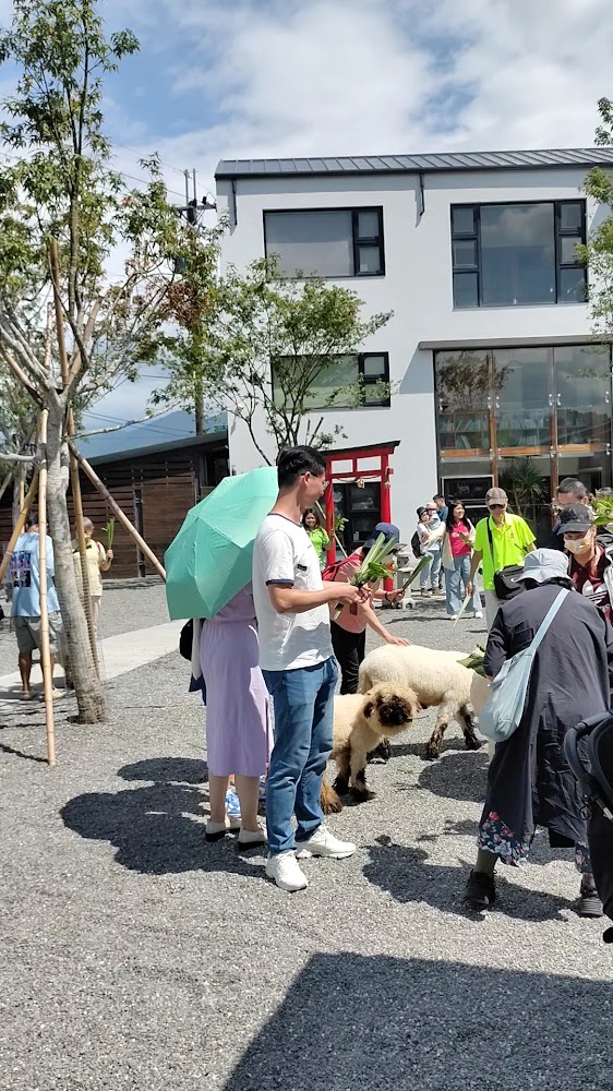 所有照片｜探索張美阿嬤農場：親子最愛的DIY農場體驗