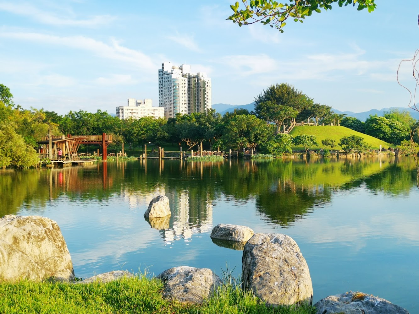 東丘｜羅東景點：探索羅東運動公園、東丘與落羽松的秘境