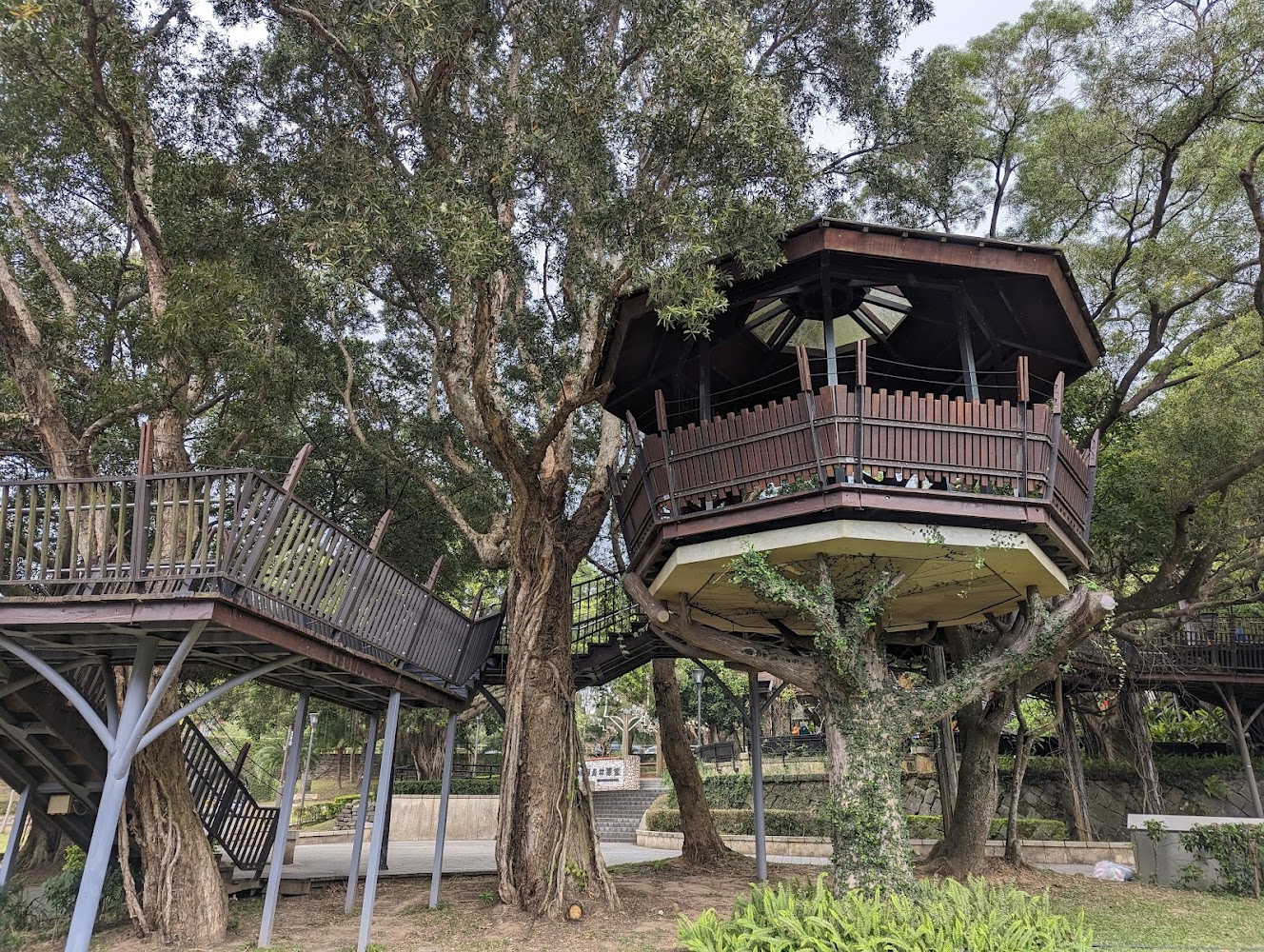 獅頭山公園｜桃園景點遊覽指南：探索大溪老街與虎頭山公園的魅力